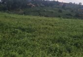 Land for sale at Bukalango